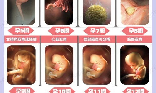 没有看到孕囊吃了药流的药-胚胎未进入孕囊 期间吃了很多药网- 吃了药胚胎没出来可以清宫吗知识,分享孕囊没长出来前吃药有影响吗
