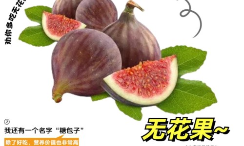 胚胎未进入孕囊 期间吃了很多药网- 吃了药胚胎没出来可以清宫吗知识,分享孕囊没长出来前吃药有影响吗